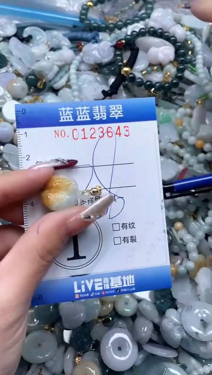 【闪购商品】翡翠颈饰未镶嵌闪购0123643