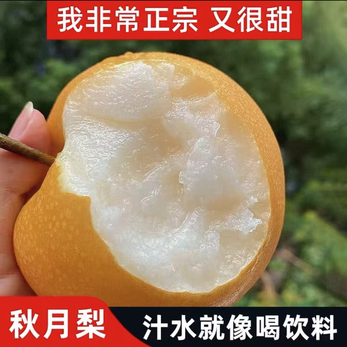 【阿美姐专属】观梧优选山东莱阳秋月梨果王清甜多汁顺丰京东发货