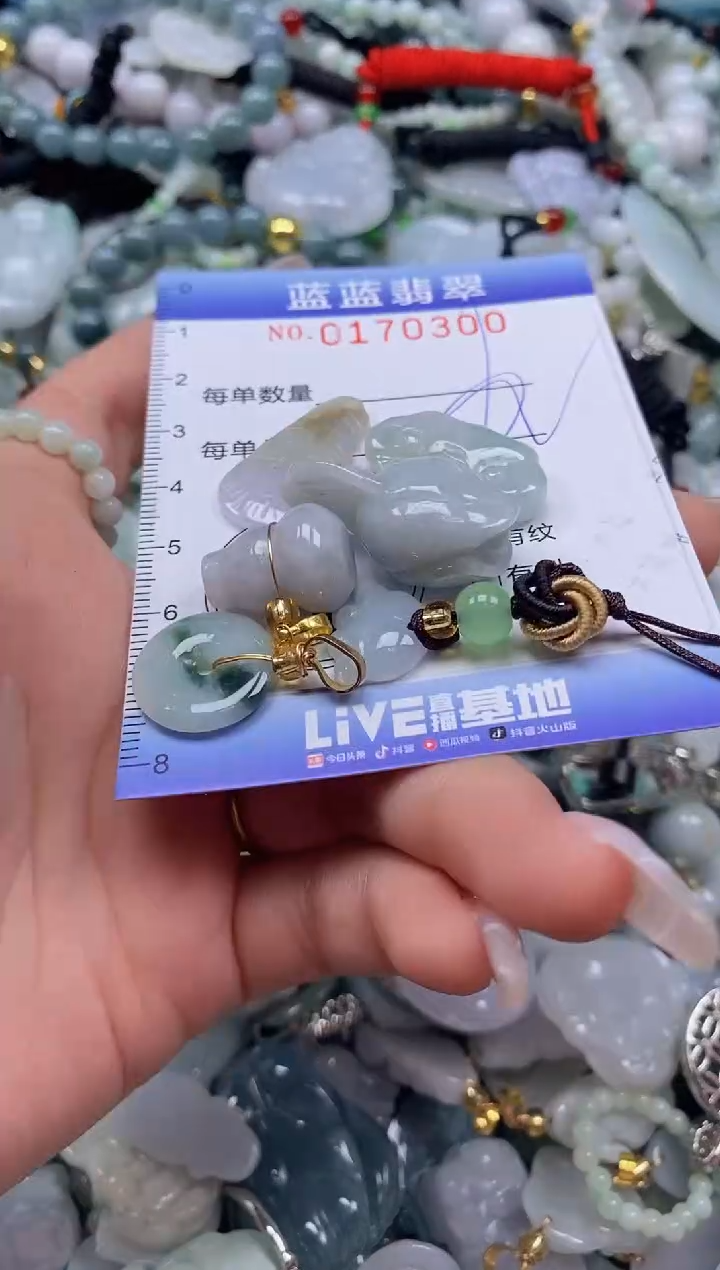 【闪购商品】翡翠颈饰未镶嵌闪购0170300