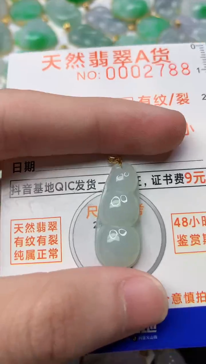 【闪购商品】翡翠颈饰18K金镶嵌5...........