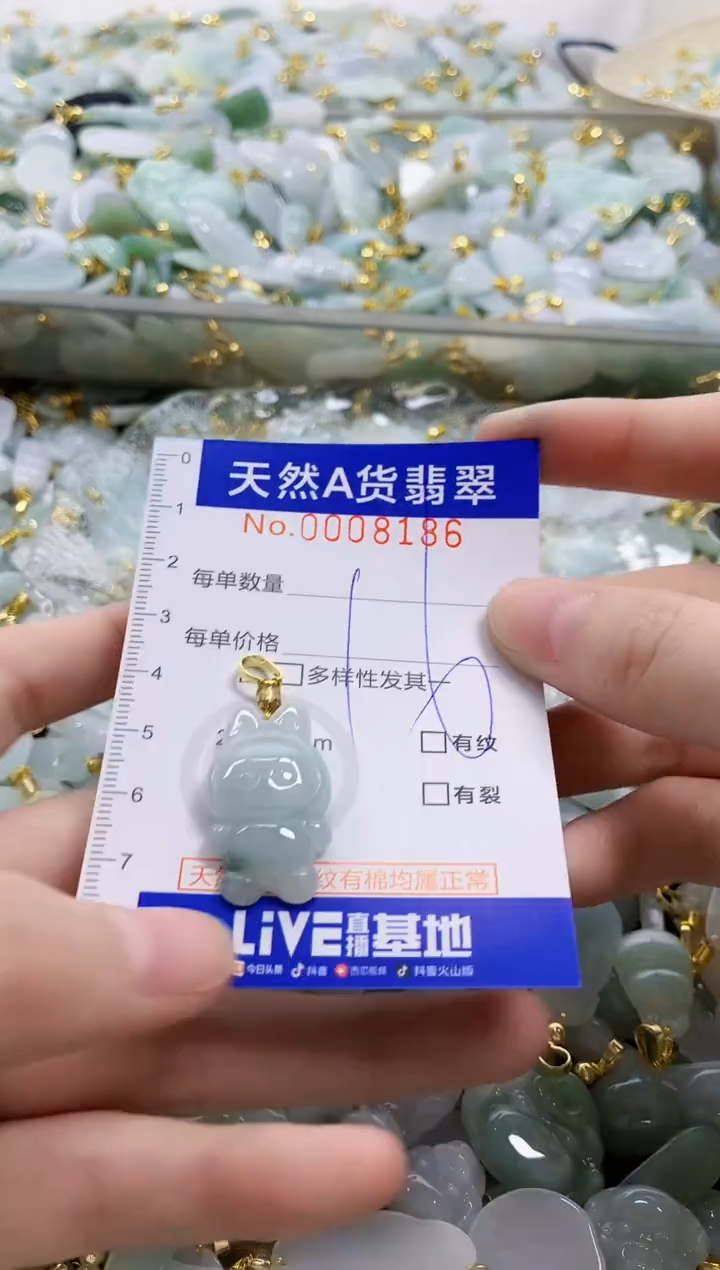 颈饰未镶嵌翡翠天然A货翡翠