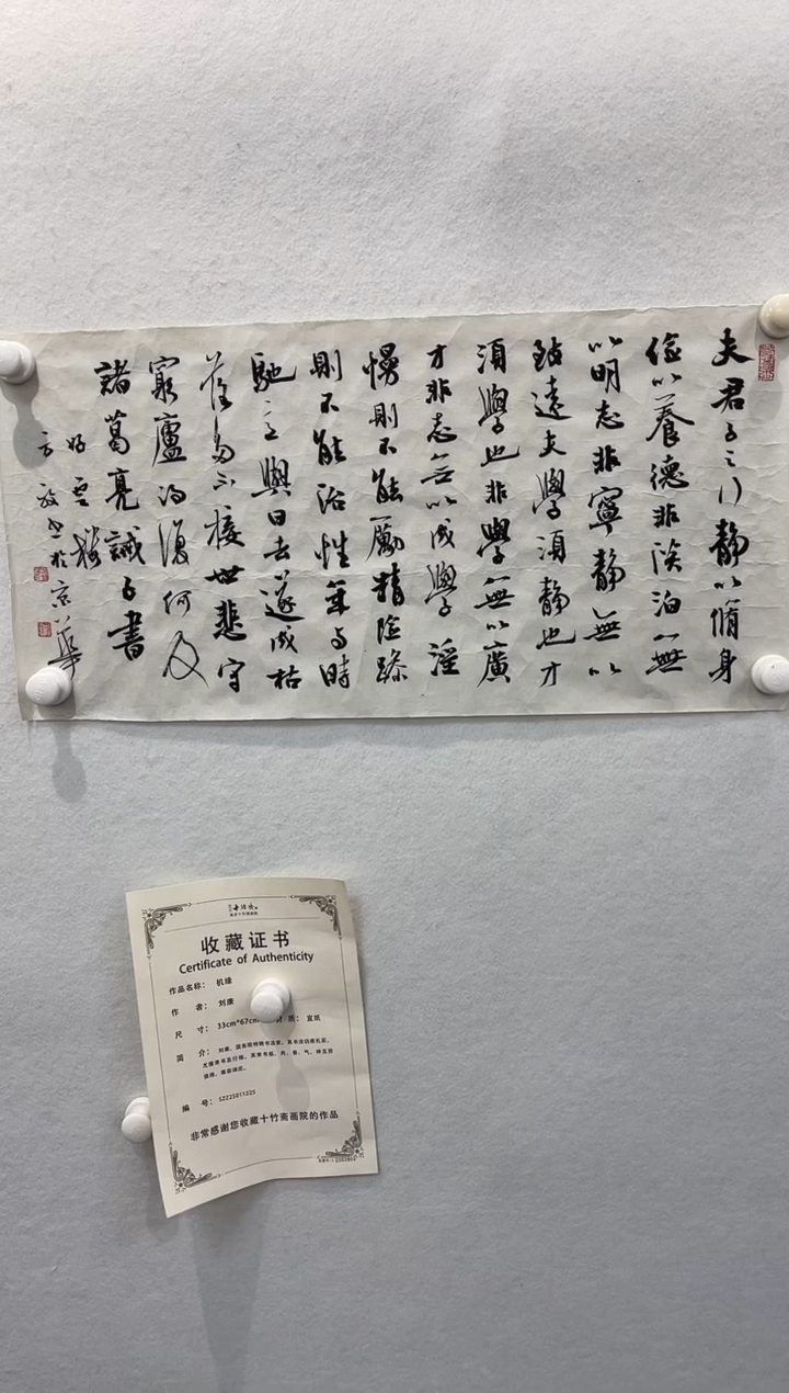 【闪购商品】国画方放老师纯手绘书法