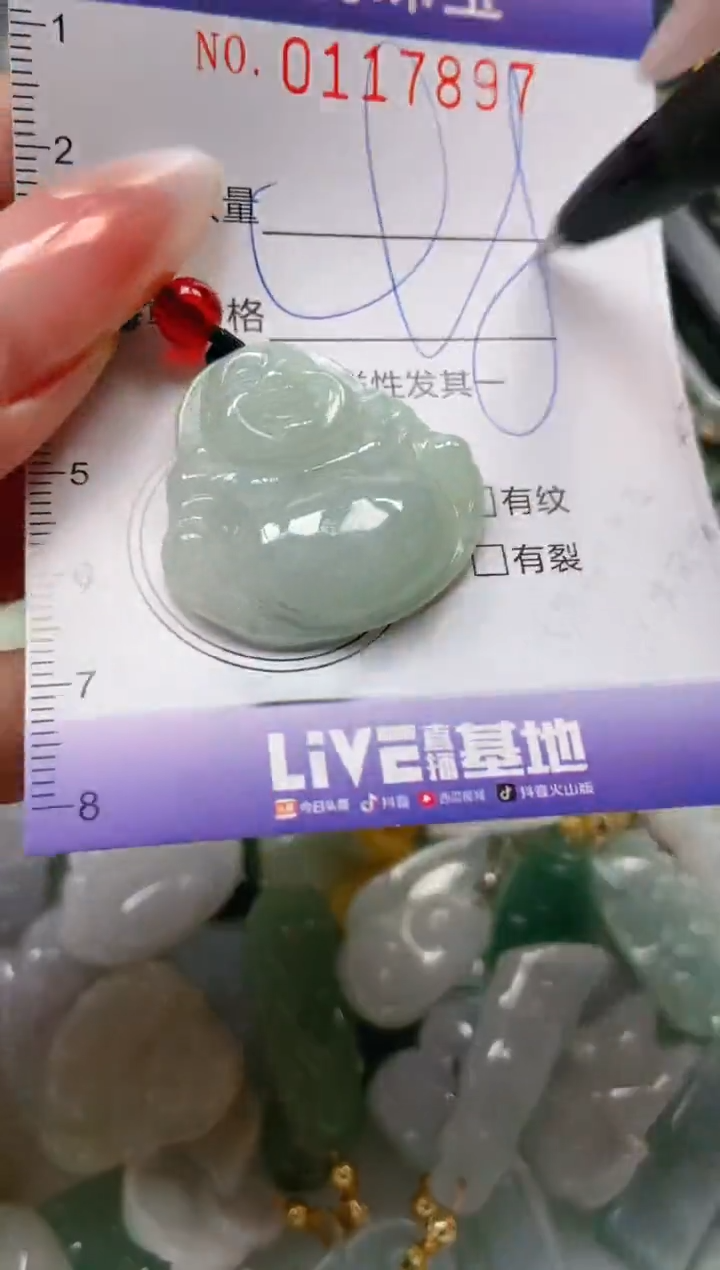 【闪购商品】翡翠颈饰未镶嵌闪购0117897