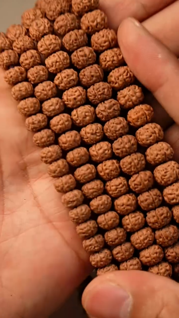 手串金刚菩提S12南瓜双龙单圈