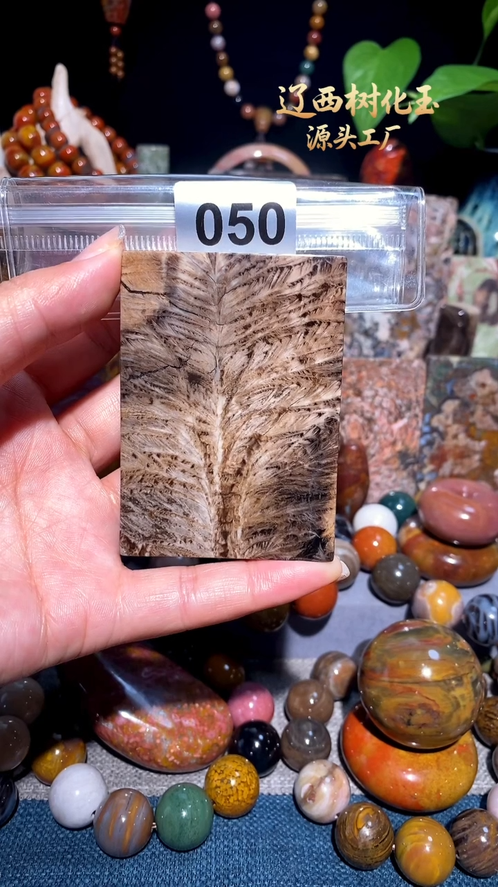 未镶嵌-硅化玉天然北票硅化玉吊坠