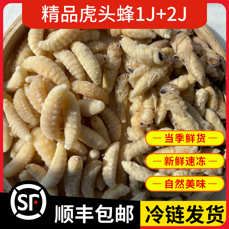 虎头蜂1+2蜂蛹新鲜冰冻马蜂金环虎头蜂地蜂土蜂出售鲜活马蜂蛹
