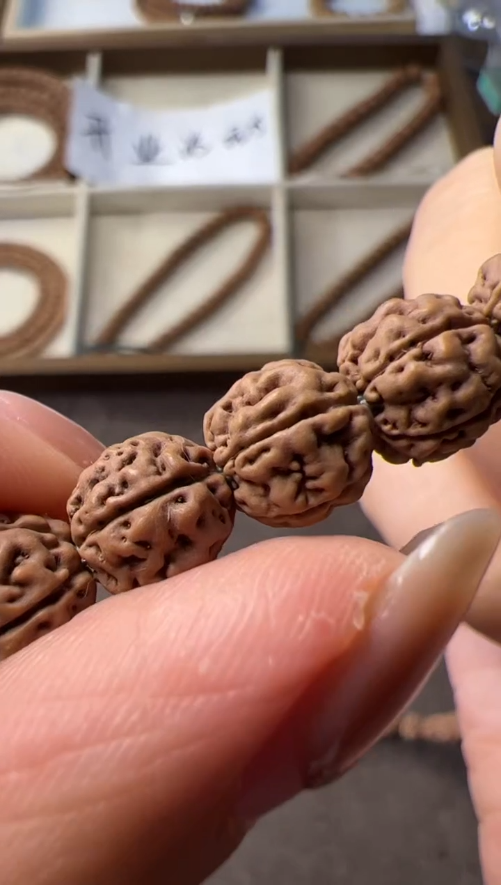 手串金刚菩提原桩一代龙108长串10mm左右