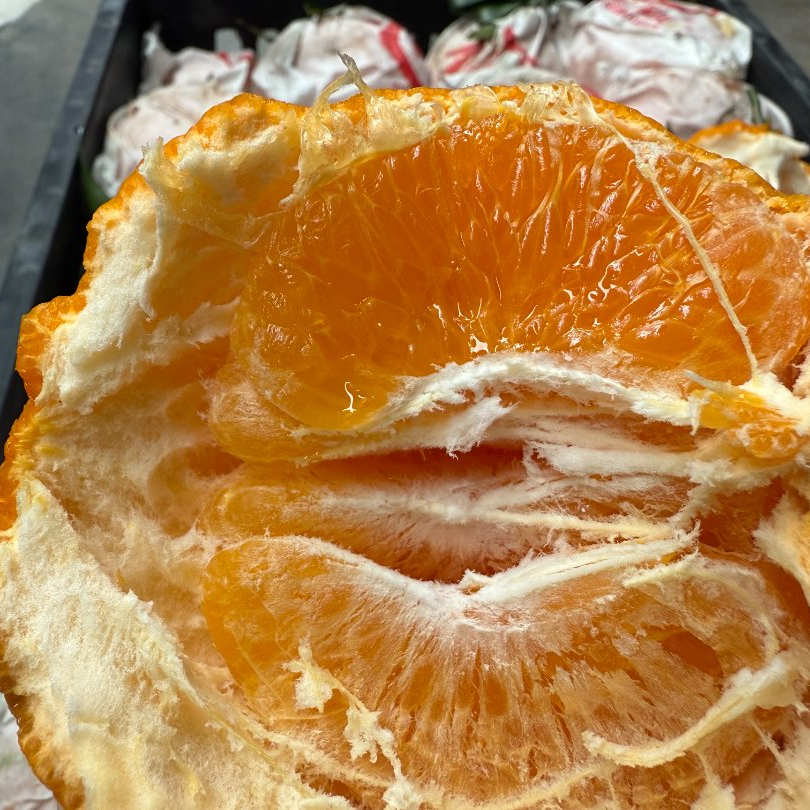 四川眉山耙耙柑5.98元/斤耙耙柑四川省眉山市