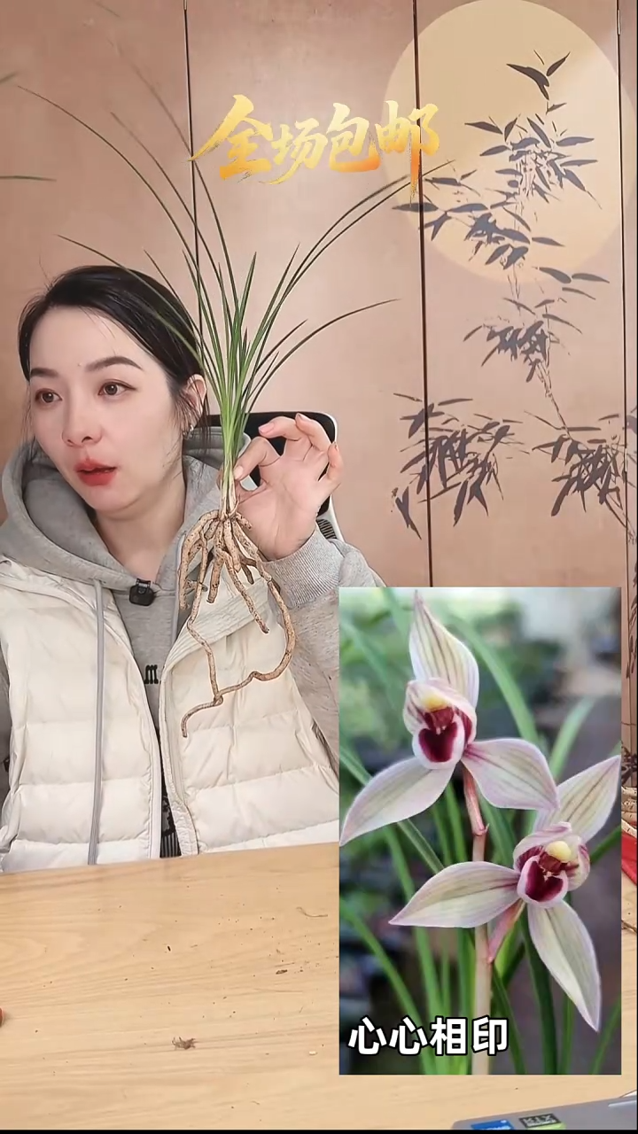 当前无花栽培后可以开花：心心相印