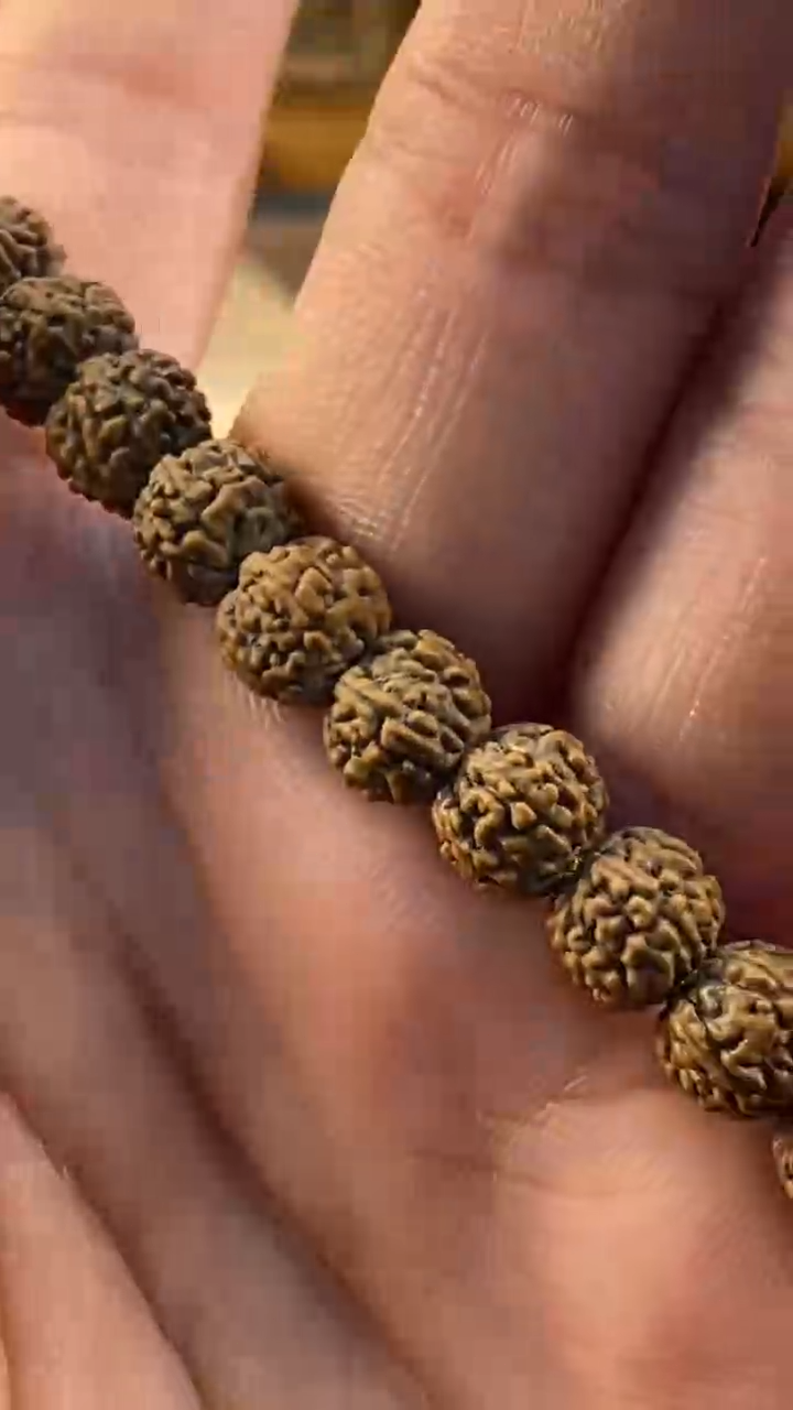 【闪购商品】金刚菩提吊坠真空包定制级灰皮一代龙6-8mm+钢丝刷