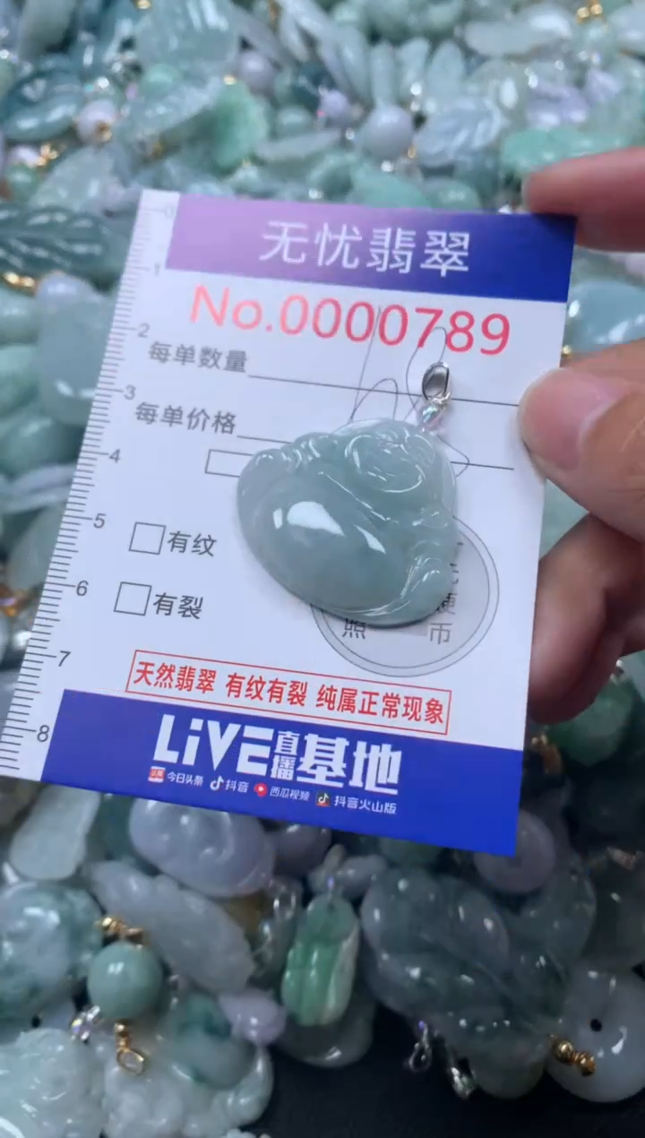 颈饰未镶嵌翡翠789