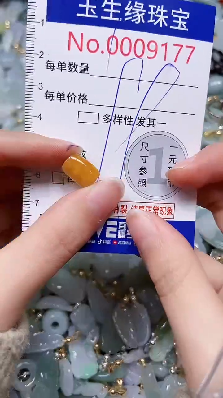 【闪购商品】翡翠颈饰未镶嵌闪购00009177