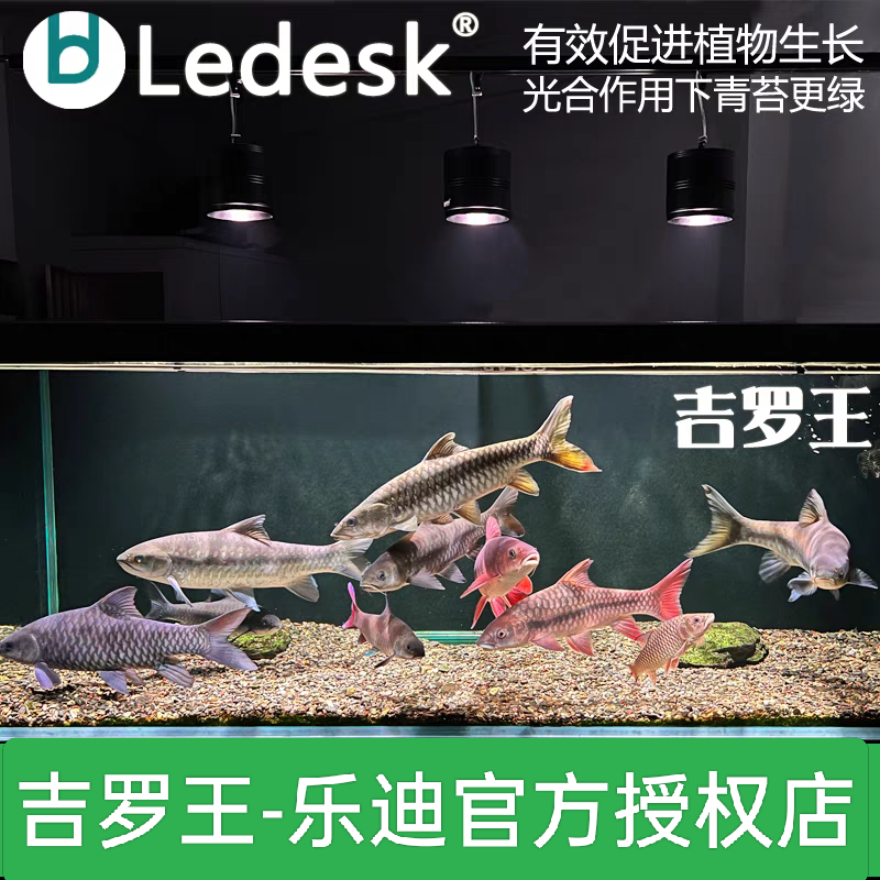 乐迪吉罗王LED吉罗专用灯 鱼缸全光谱增色显色爆藻灯定时原生鱼灯