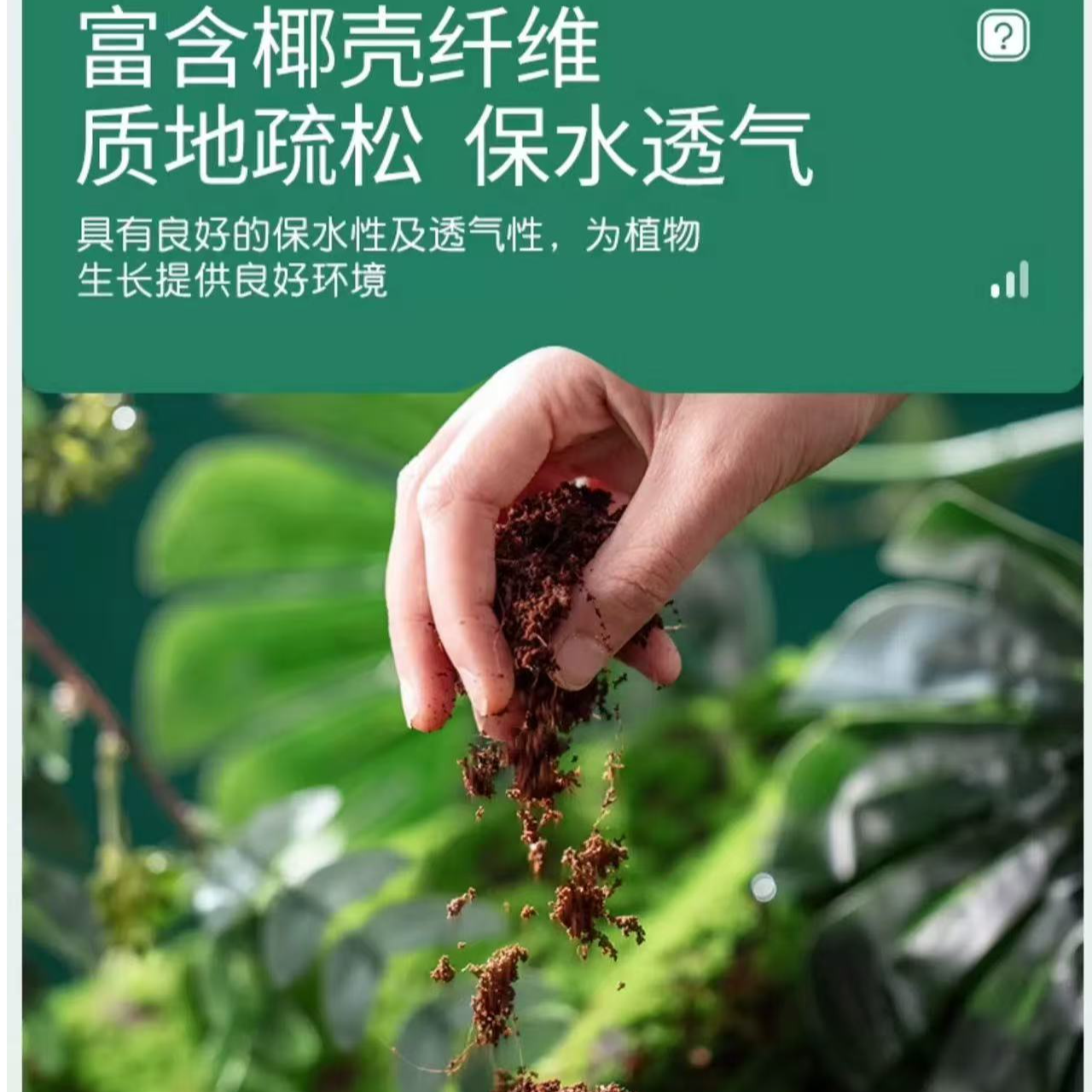 进口脱盐椰糠砖500g（约泡发5升）