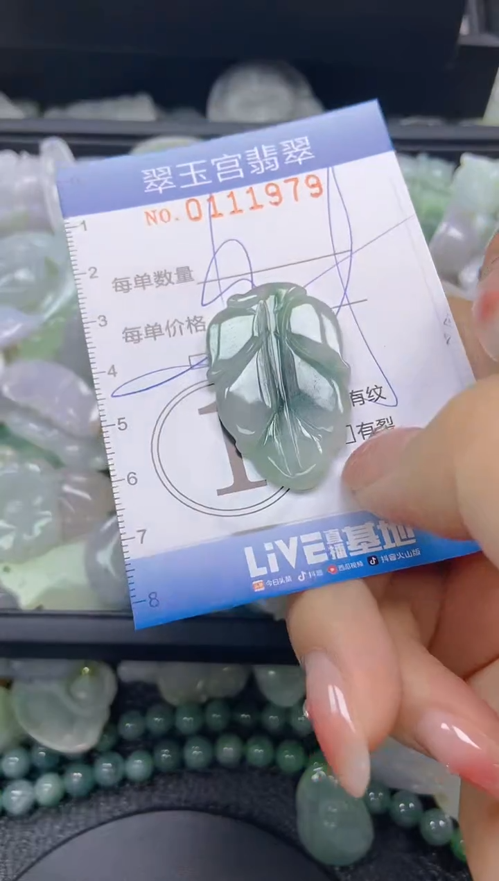 翡翠未镶嵌颈饰闪购0111979