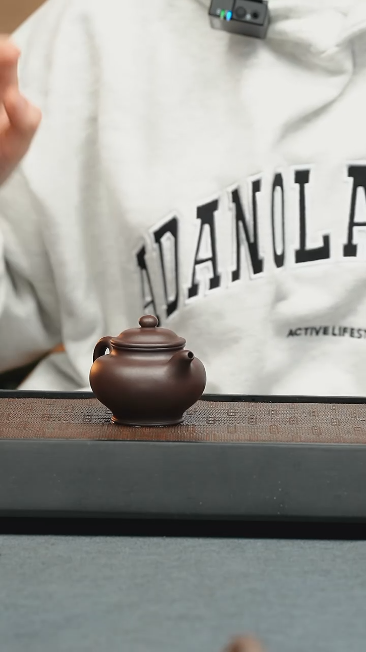 【闪购商品】紫砂茶壶五堂 掇只-许四海藏