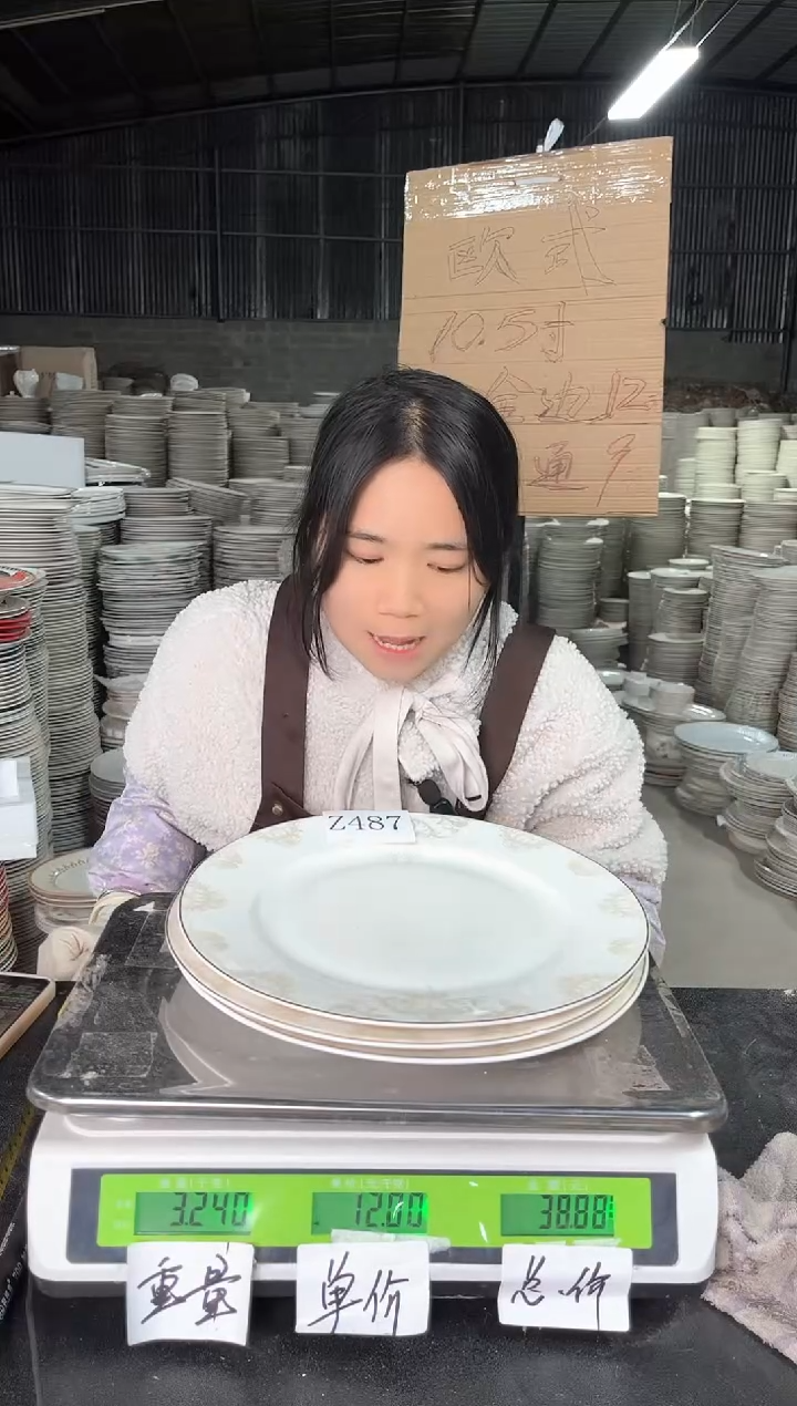 【闪购商品】搪瓷Z487  10.5英寸  3个