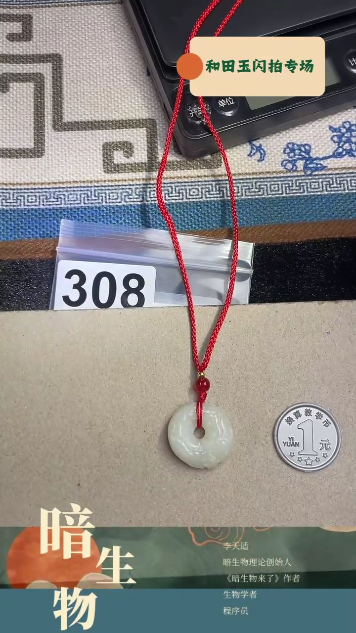 【闪购商品】和田玉颈饰未镶嵌308