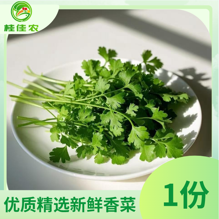【桂佳农小时达】优质精选新鲜香菜 1份装