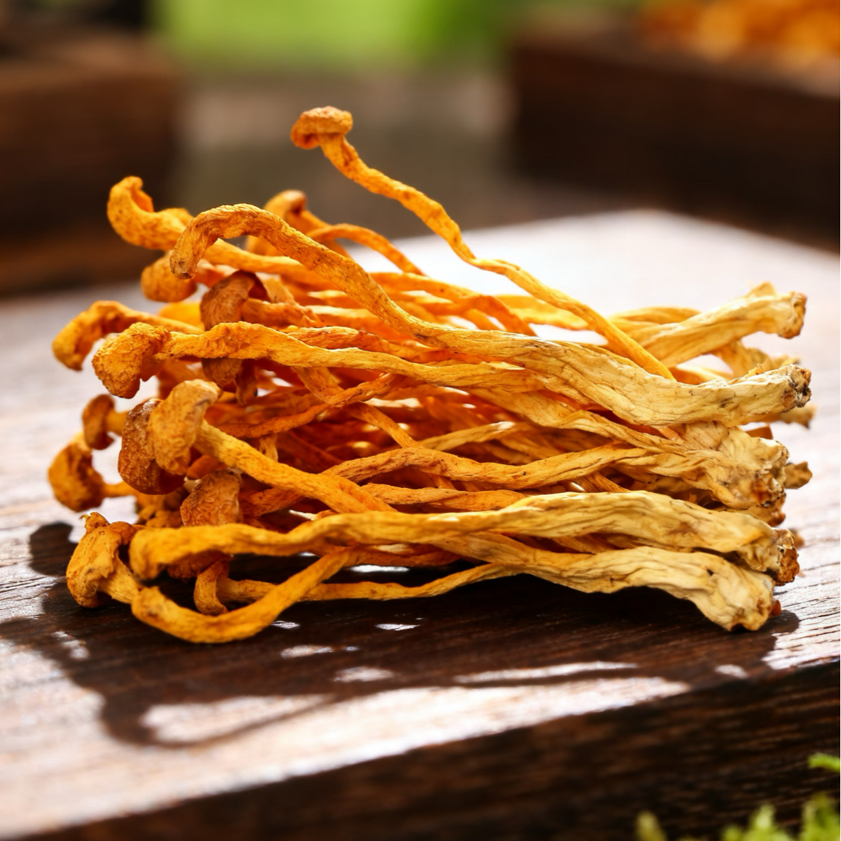 虫草花干货鲜美煲汤食材
