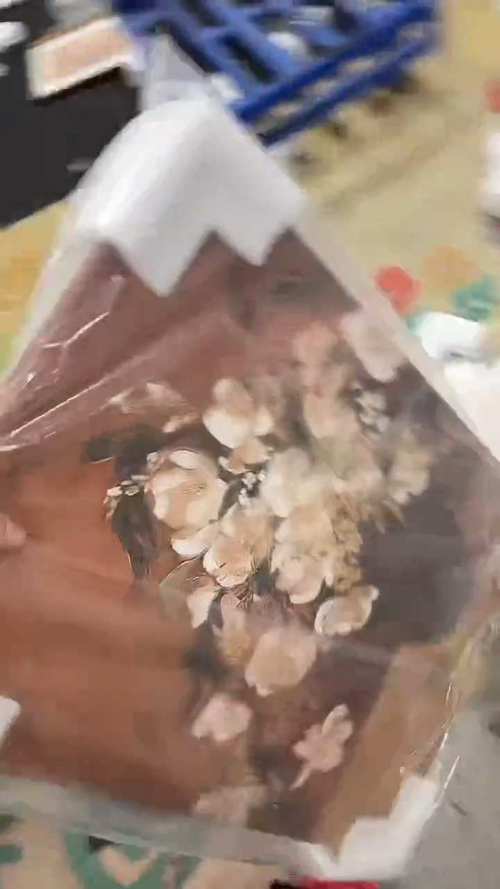 仓库清货，默认瑕疵，完美主义者慎拍。