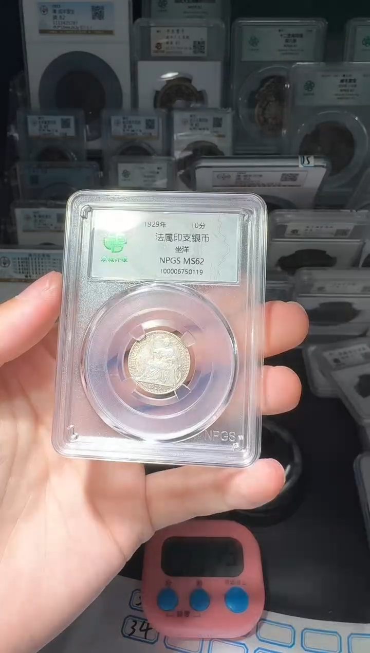 【闪购商品】银62分小坐洋小师妹33