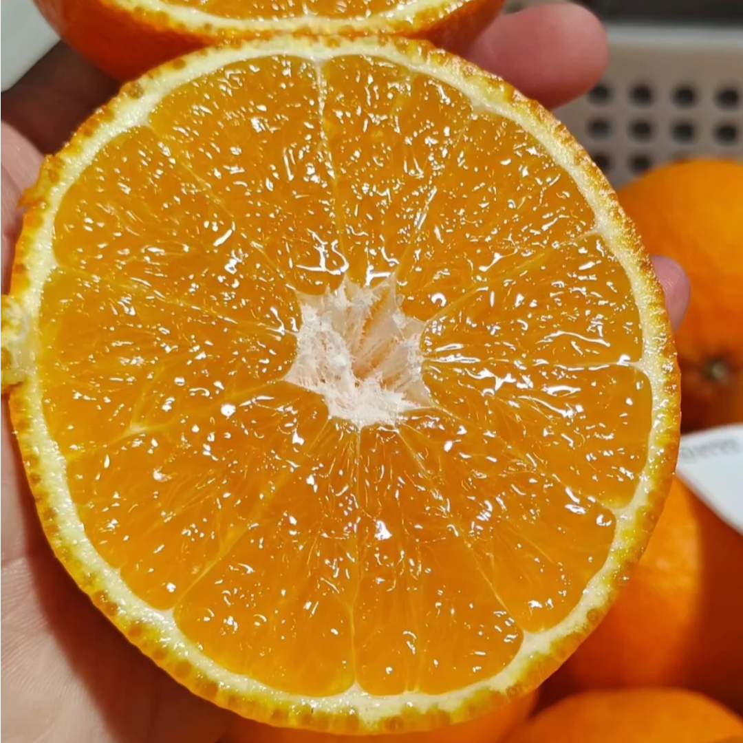 【市场直发】大果果冻橙 6斤装左右