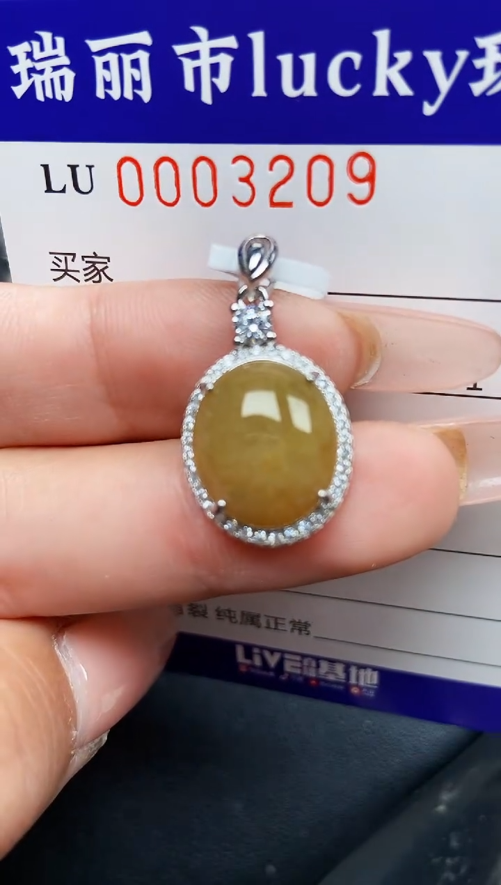 【闪购商品】翡翠颈饰银S925镶嵌3209