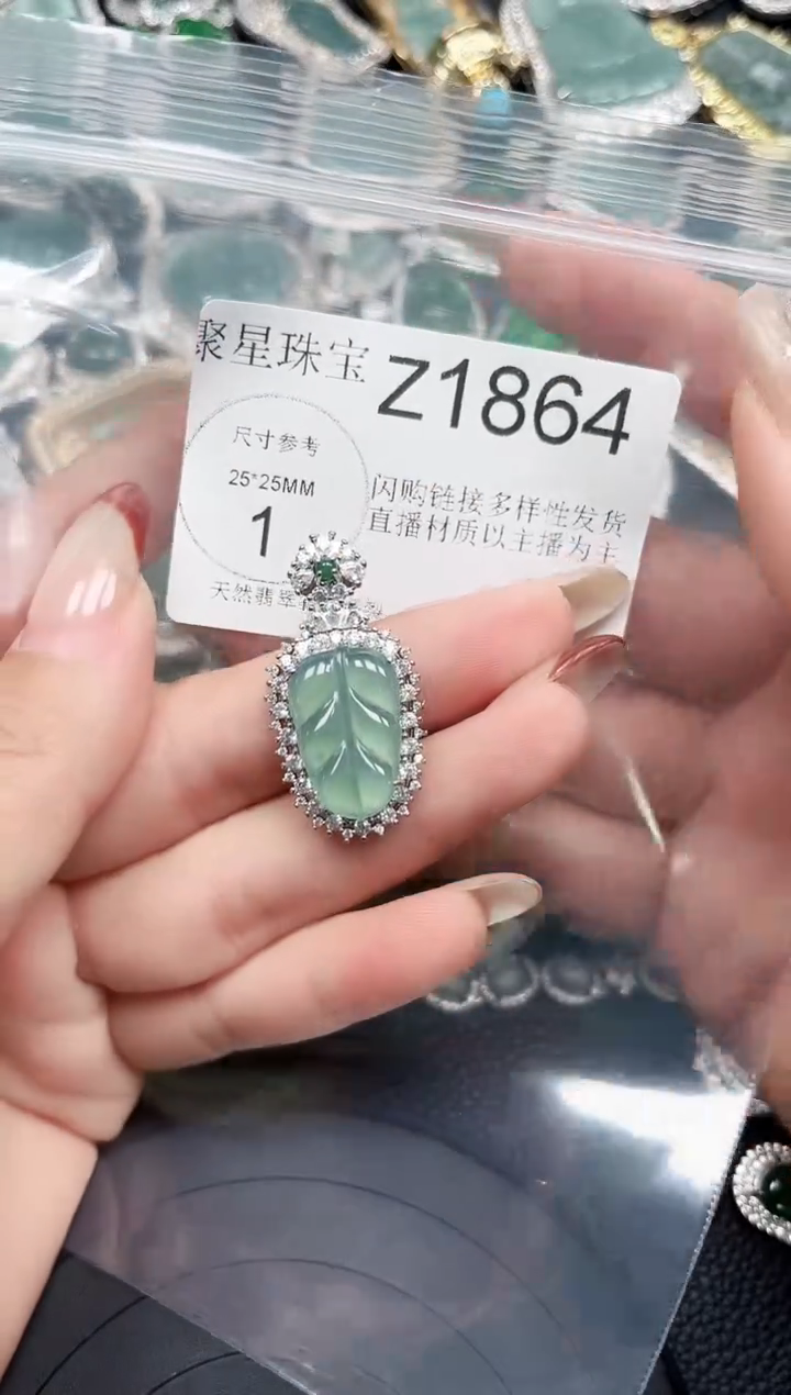 【闪购商品】翡翠颈饰未镶嵌赠皮绳1864