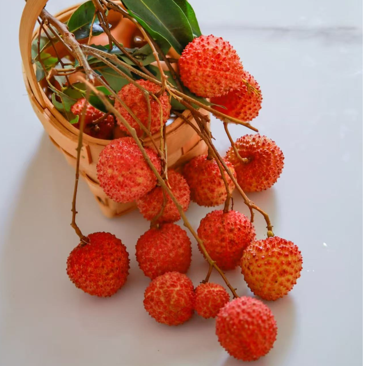 老树桂味荔枝   净重2.5斤【只发河南省】