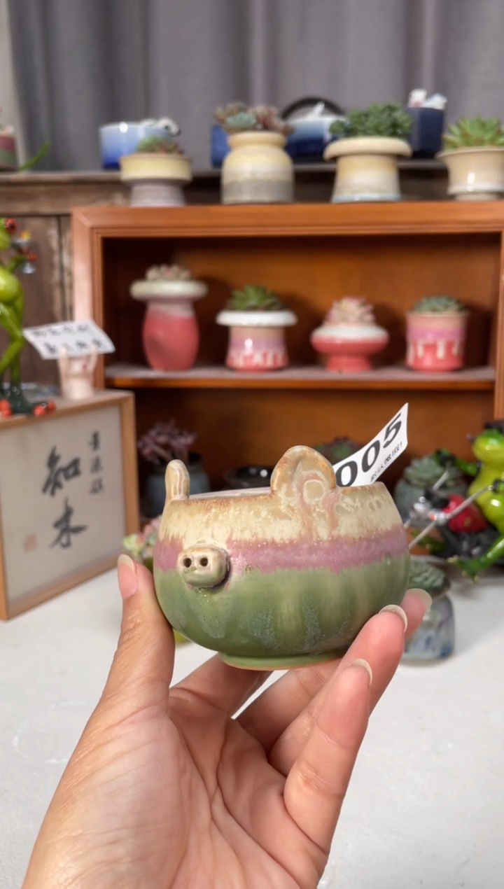 瓷片005小芳直播编号