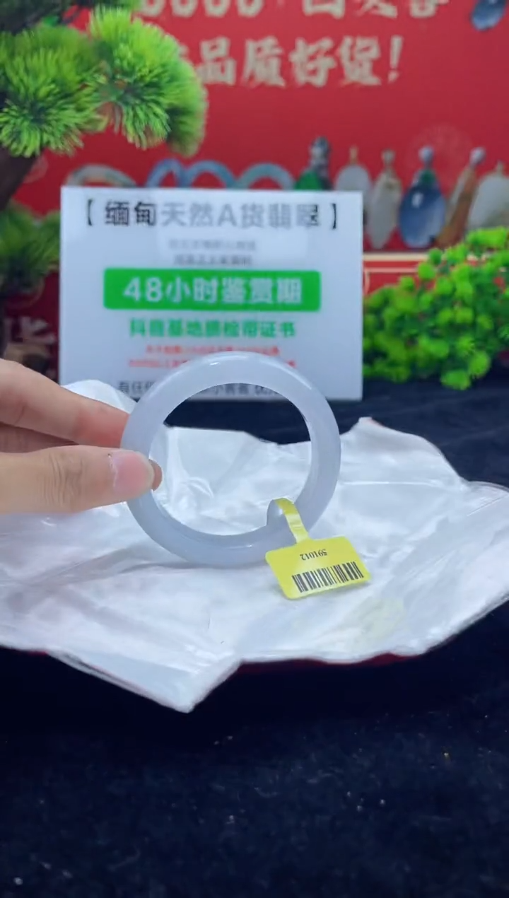 【闪购商品】翡翠手镯未镶嵌手镯9