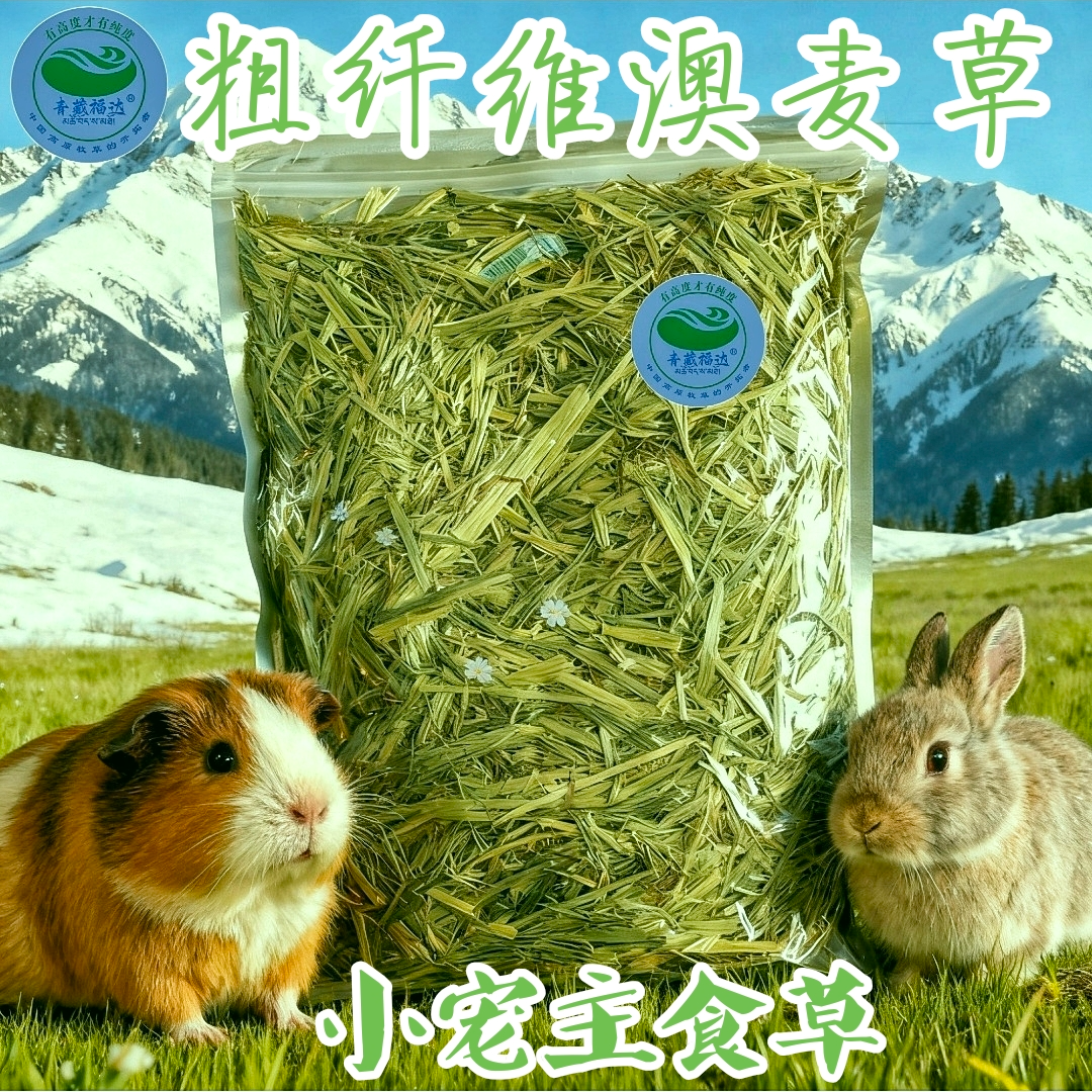 小宠主草头茬粗纤维青澳麦兔子荷兰猪龙猫专用磨牙保健牧草