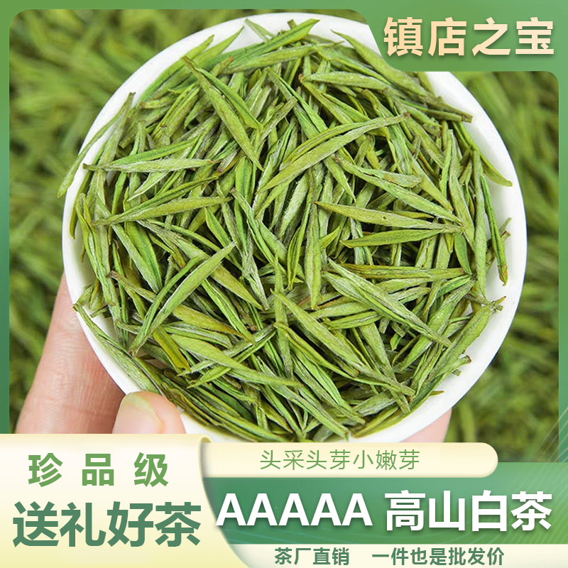 【特级高山白茶】2025新茶特级明前白茶高山兰花香鲜爽回甘【西坑料】