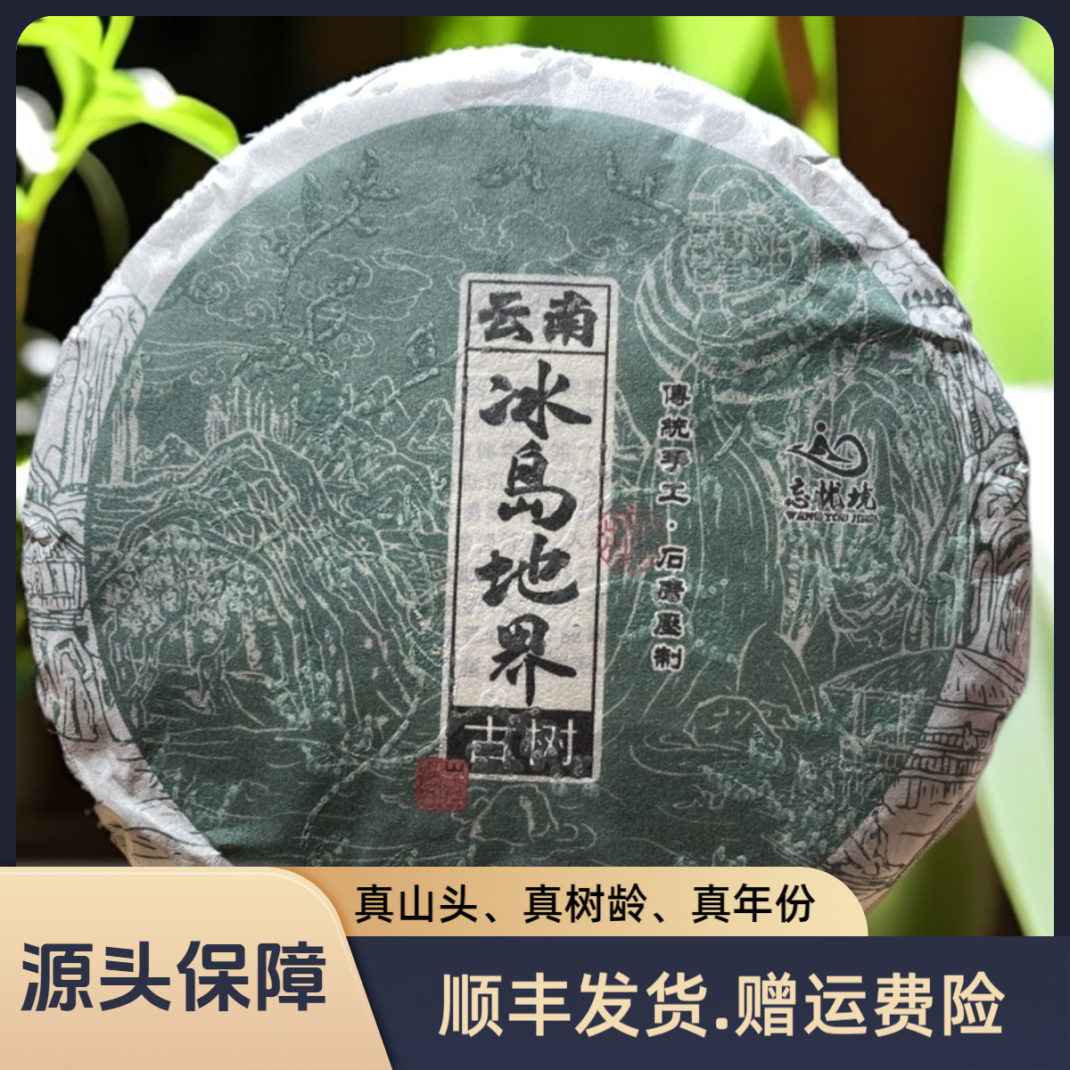 [糯伍2号] 2023年春 冰岛地界古树 生茶