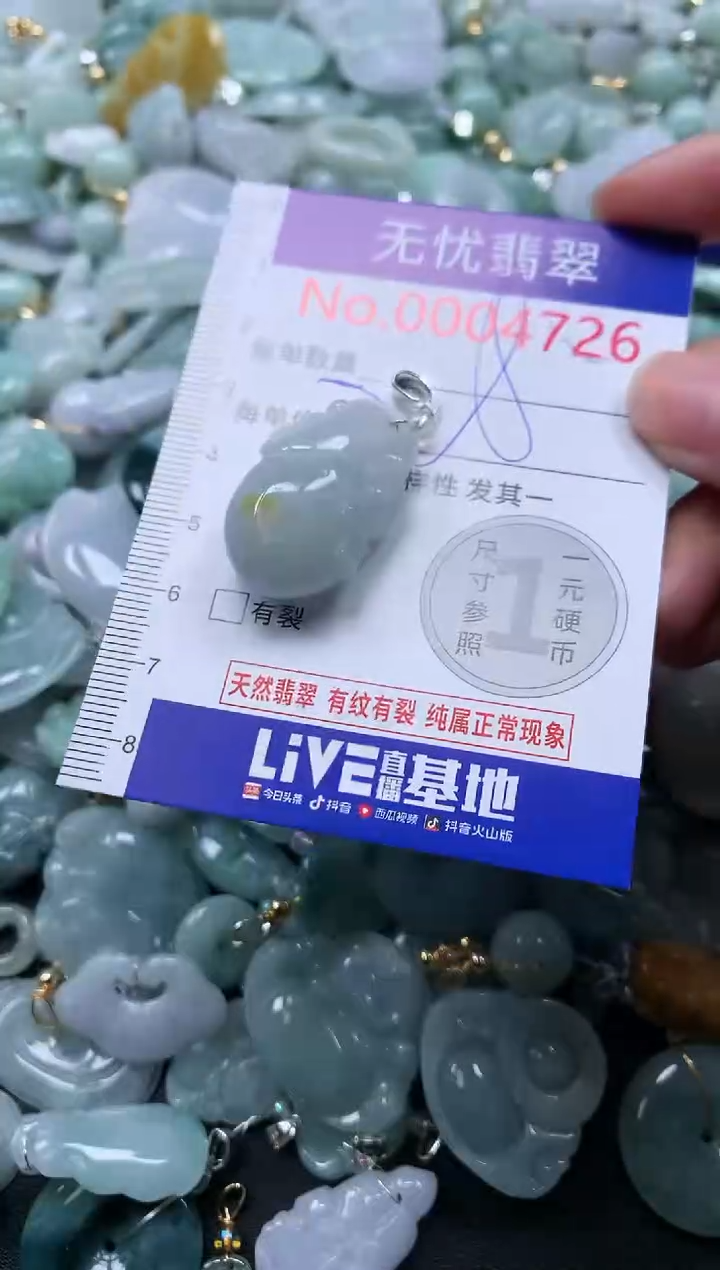 颈饰未镶嵌翡翠4726