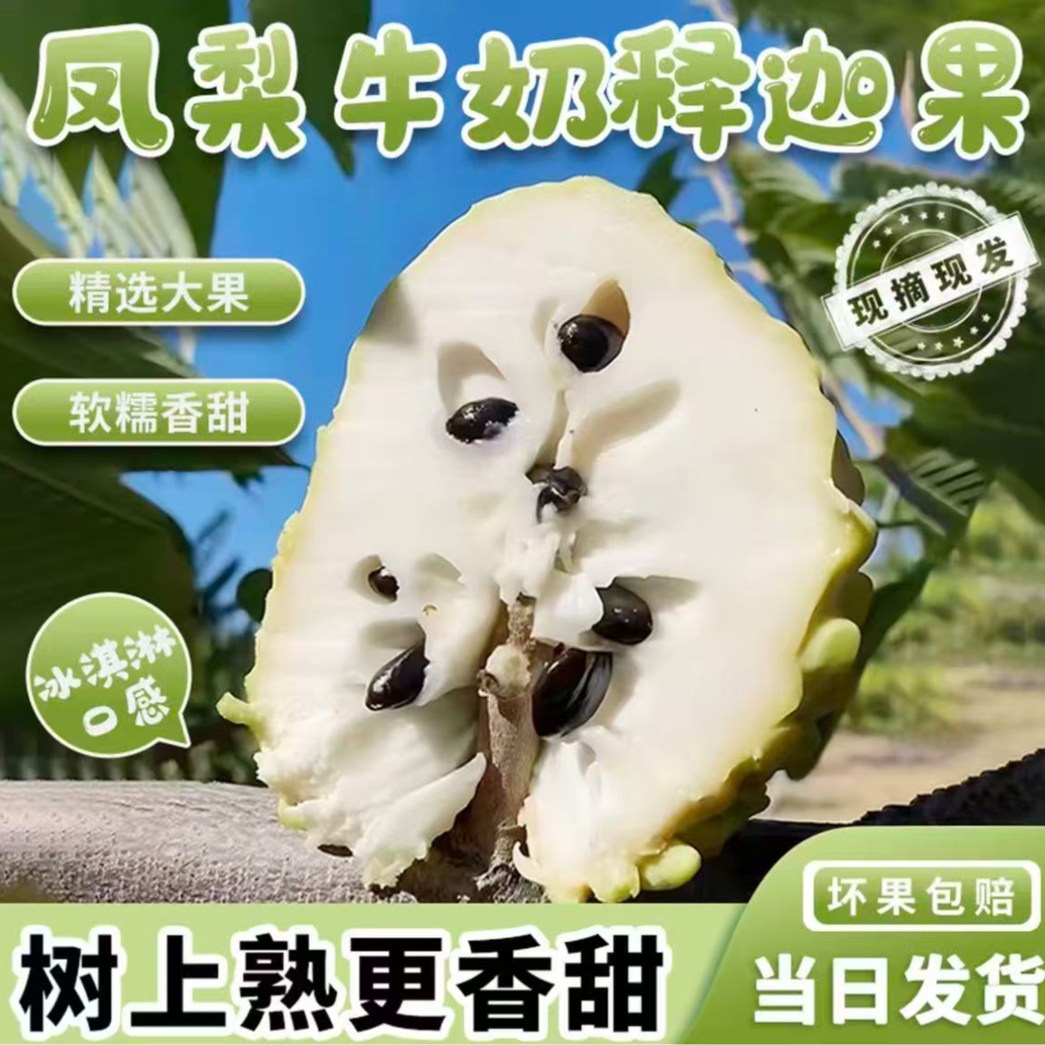 T广西新鲜凤梨释迦水果当季番荔枝牛奶释迦果十年老树花皮果