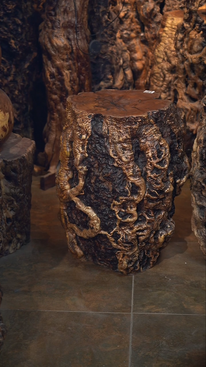 【闪购商品】枣木雷击枣木墩子