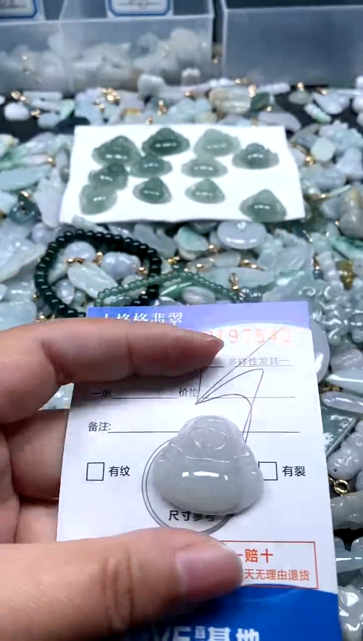 【闪购商品】翡翠颈饰未镶嵌闪购商品0197543