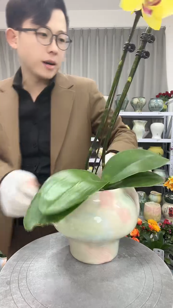 【11.20】直播链接  高度: 14   口径:   11