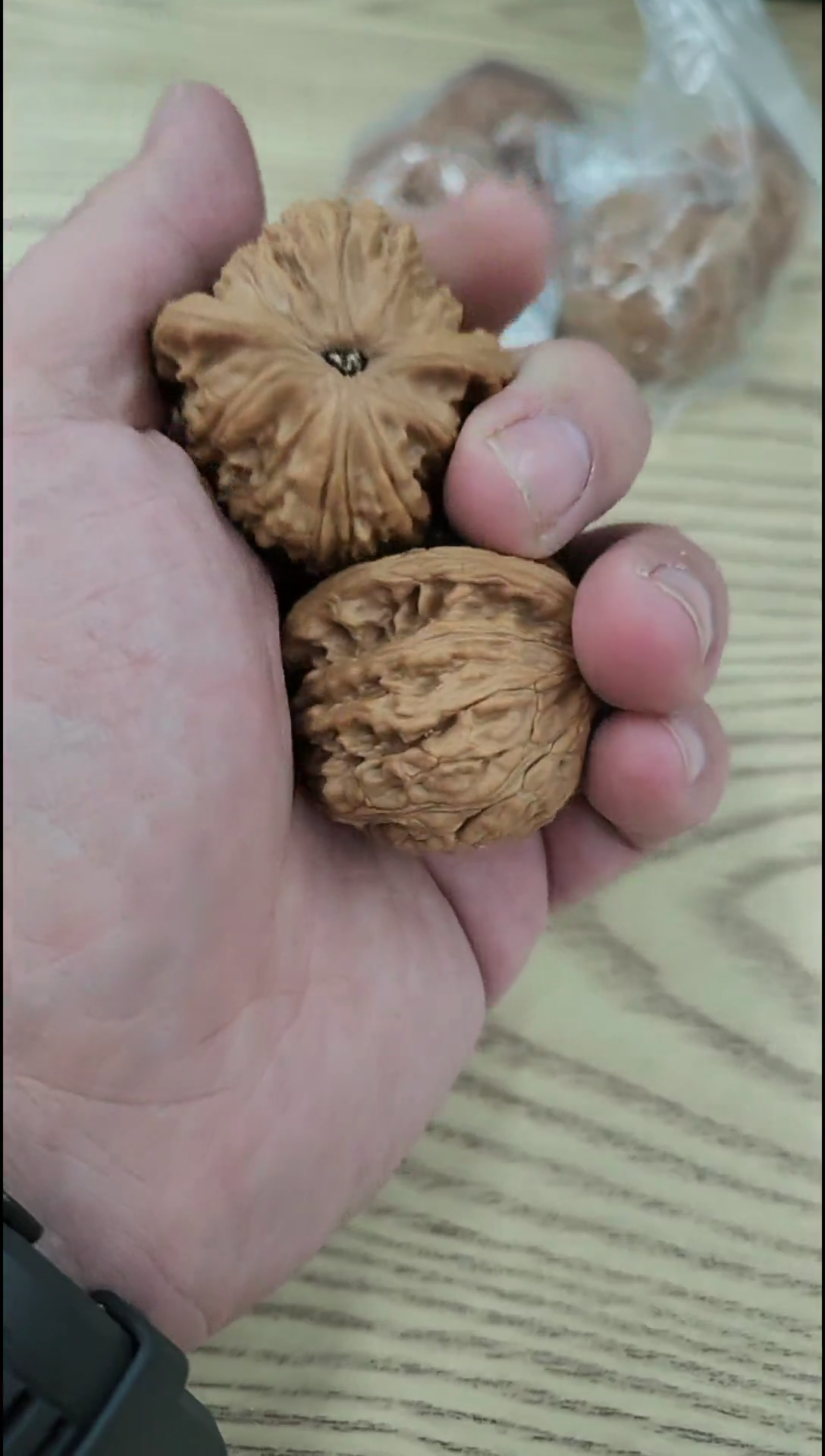 把件核桃血麒麟以打底黄金尺寸#400977