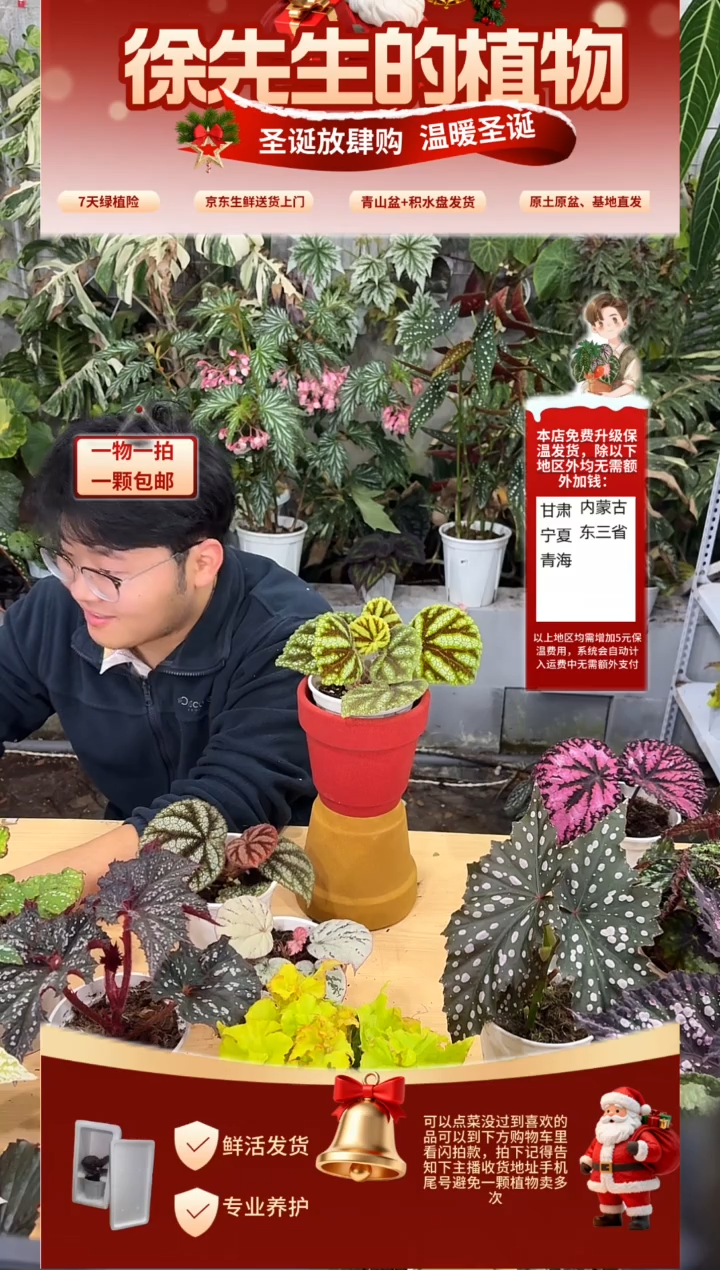 完全开放钻石铁十字