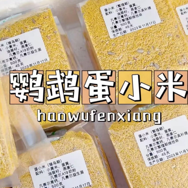 断奶必备手养鹦鹉专用蛋小米