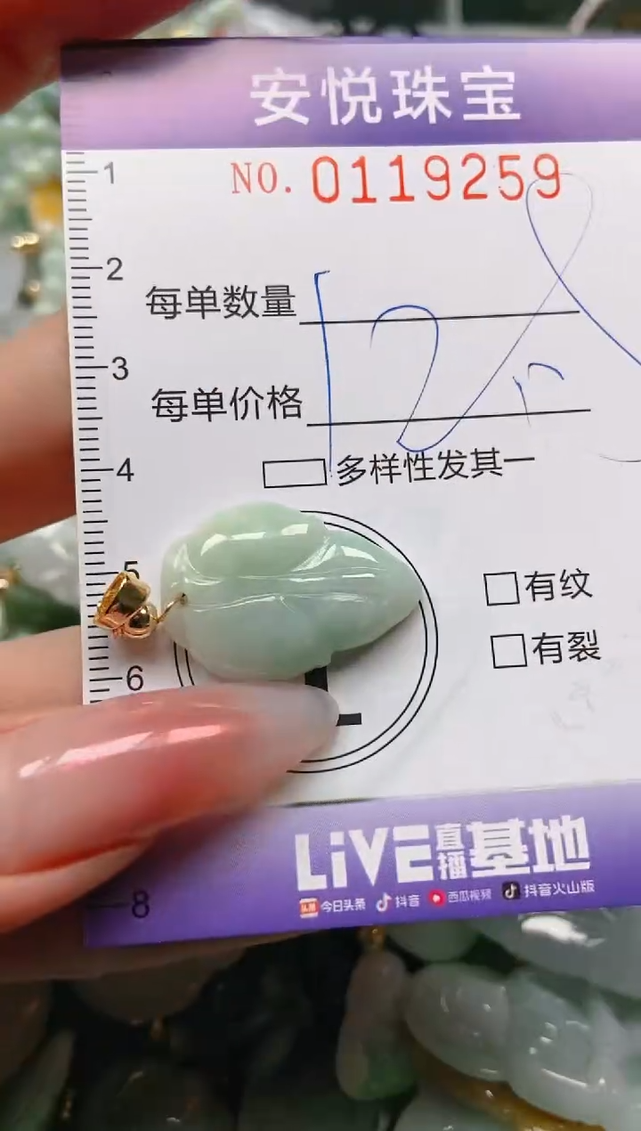 【闪购商品】翡翠颈饰未镶嵌闪购0119259