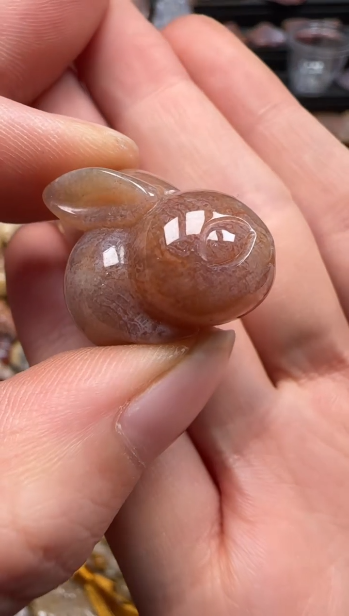 【闪购商品】硅化珊瑚（珊瑚玉）颈饰未镶嵌486