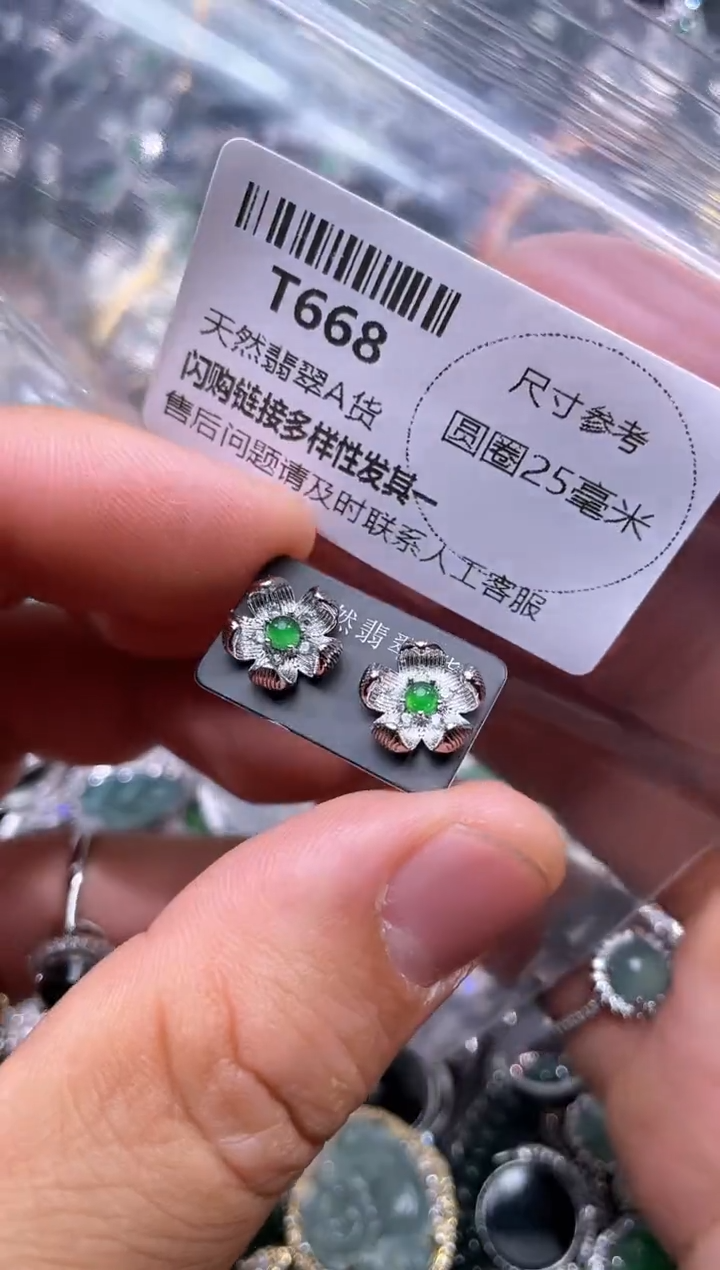 【闪购商品】翡翠颈饰未镶嵌T668耳钉