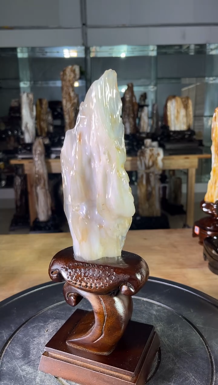 【闪购商品】硅化玉珠宝奇石未镶嵌1