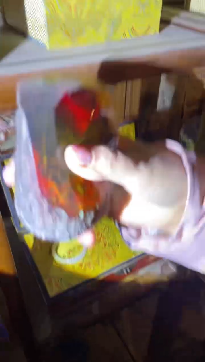 【闪购商品】一一一一一一蝴蝶