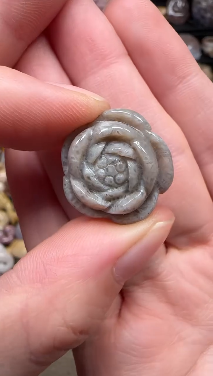 颈饰未镶嵌硅化珊瑚（珊瑚玉）045