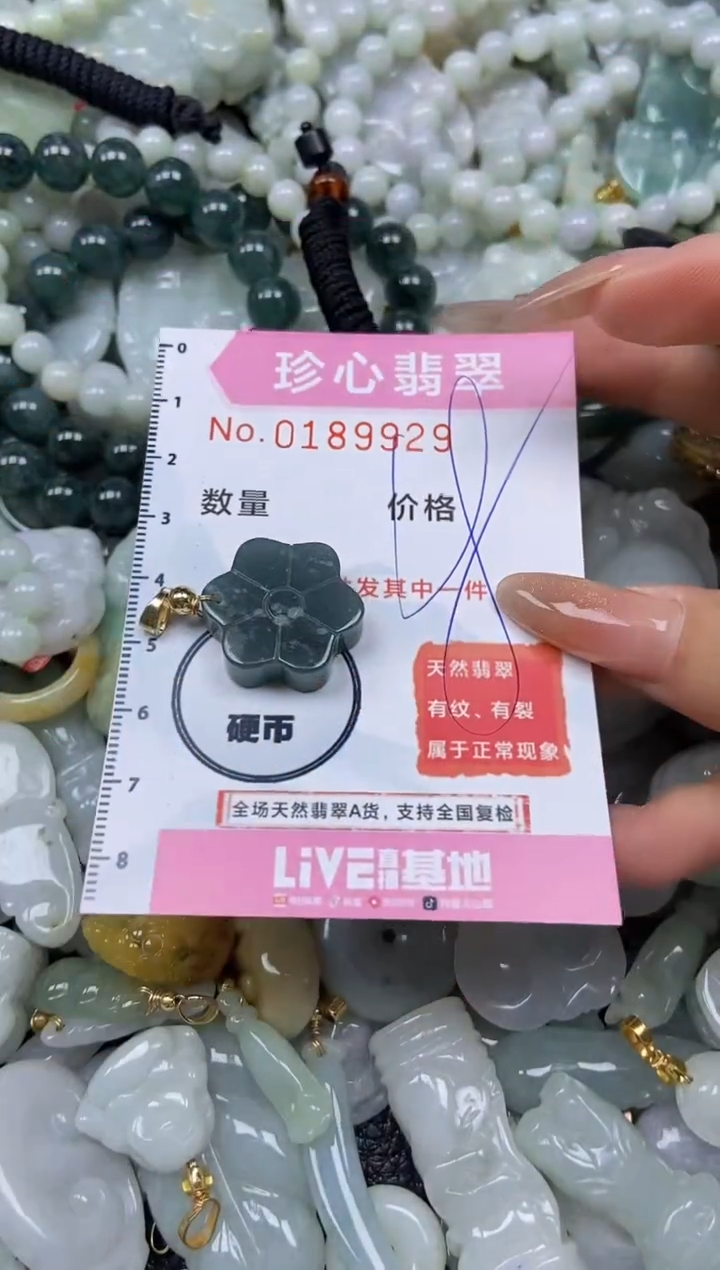 翡翠未镶嵌颈饰闪购链接0189929